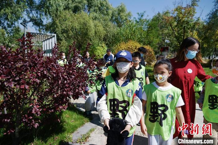 圖為小朋友在青海西寧湟水國家濕地公園內(nèi)認(rèn)識植物。　馬銘言 攝