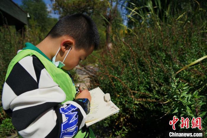 圖為小朋友在青海西寧湟水國家濕地公園內(nèi)認(rèn)識植物并進(jìn)行繪畫?！●R銘言 攝