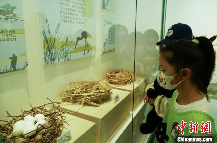 圖為小朋友在青海西寧湟水國家濕地公園科普館內(nèi)參觀學(xué)習(xí)?！●R銘言 攝