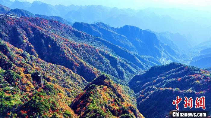 巴山大峽谷彩林迎來最佳觀賞期?！埰?攝