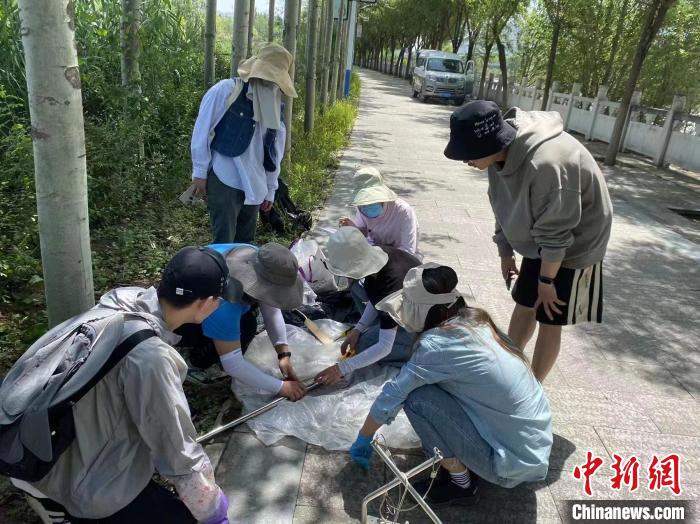 圖為科研人員正在進行監(jiān)測。　西寧湟水國家濕地公園供圖