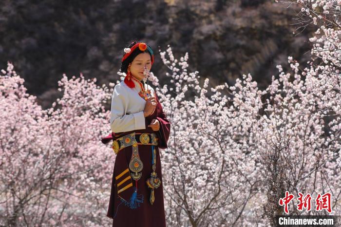 白玉縣河坡鎮(zhèn)桃花林間身穿民族服飾的藏族女孩?！“子袢诿?攝