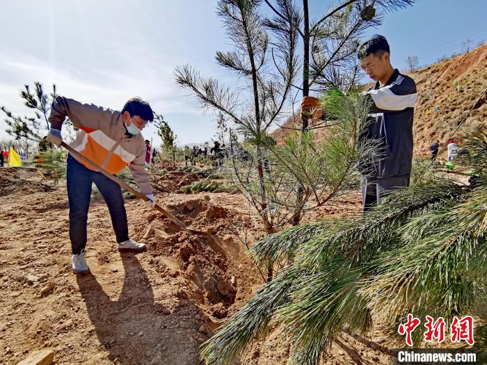 圖為西寧市城東區(qū)義務(wù)植樹活動現(xiàn)場?！?zhí)砀?攝