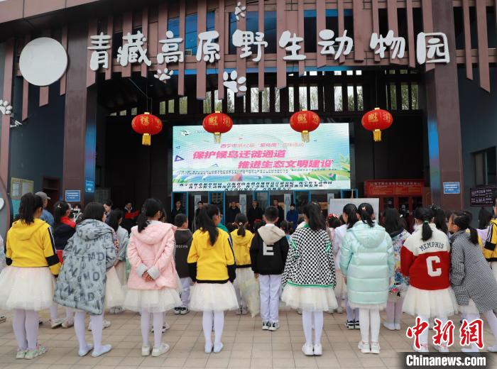 圖為青海省西寧市開(kāi)展第42屆“愛(ài)鳥(niǎo)周”科普宣傳活動(dòng)?！●R銘言 攝