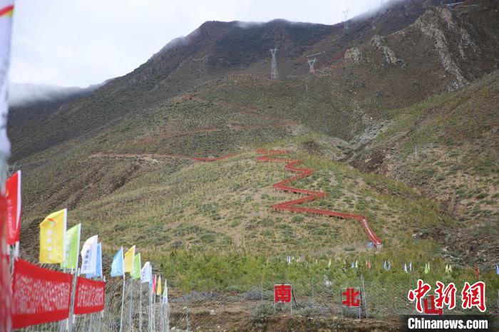 圖為拉薩南北山綠化工程拉薩曲水縣才納村5號(hào)片區(qū)?！∝暣_ 攝