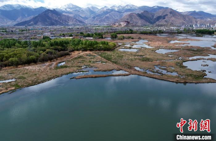 圖為拉薩拉魯濕地。(無人機(jī)照片) 李林 攝