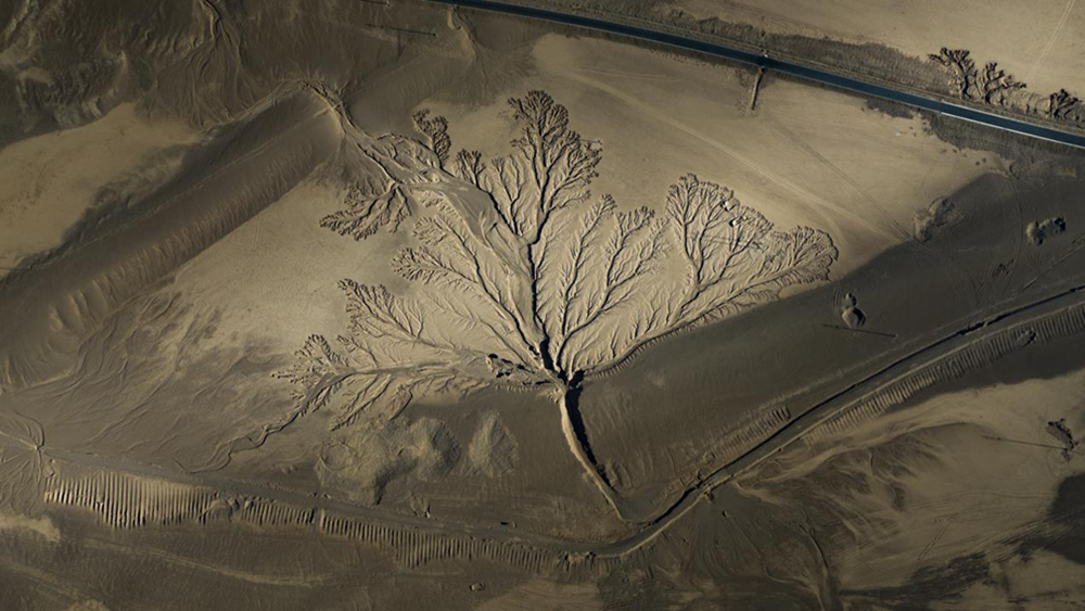 無人機視角下的西藏阿里地區(qū)改則縣“大地之樹”景觀。尼瑪多吉攝