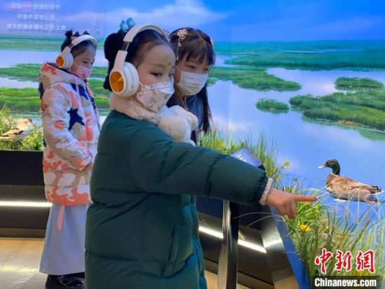 圖為學生在西寧市第一中學濕地科普宣教館內(nèi)參觀?！±罱瓕?攝