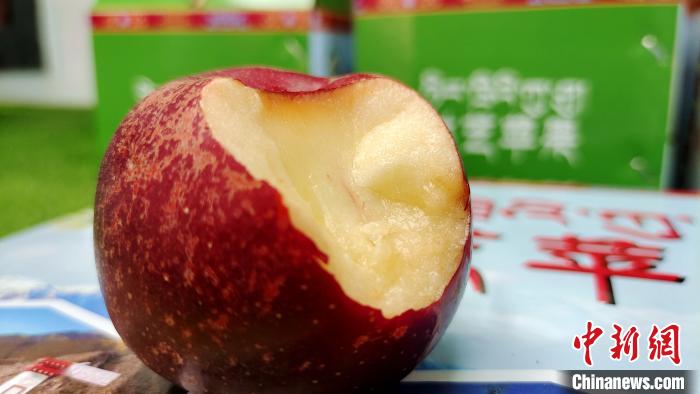 圖為通麥村特色甜心蘋果。　貢桑拉姆 攝