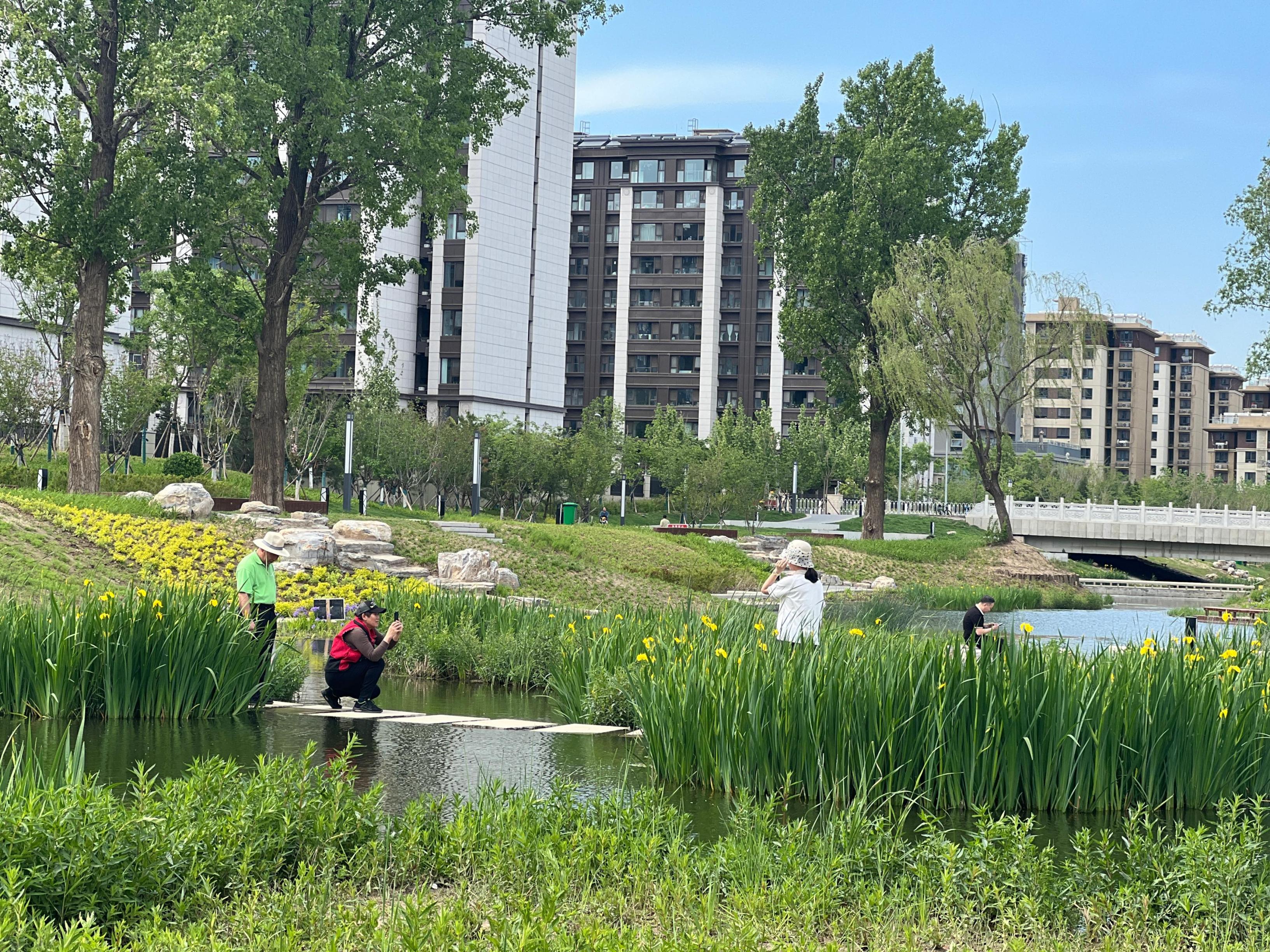 五一渠生態(tài)濱河公園內(nèi)，市民正在拍照留念。人民網(wǎng) 歐陽易佳攝