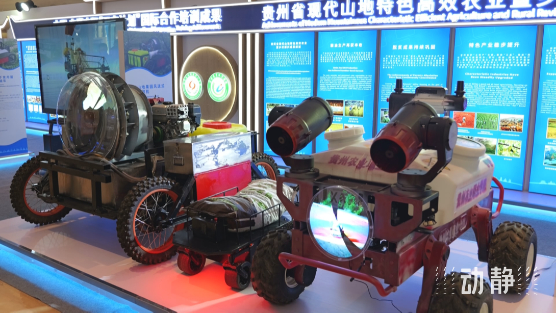展示成果分享經(jīng)驗，中國—東盟教育交流周深化合作共創(chuàng)未來！