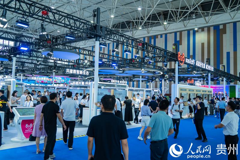 2、2024數(shù)博會(huì)共吸引400余家展商參展。人民網(wǎng) 陽(yáng)茜攝.jpg