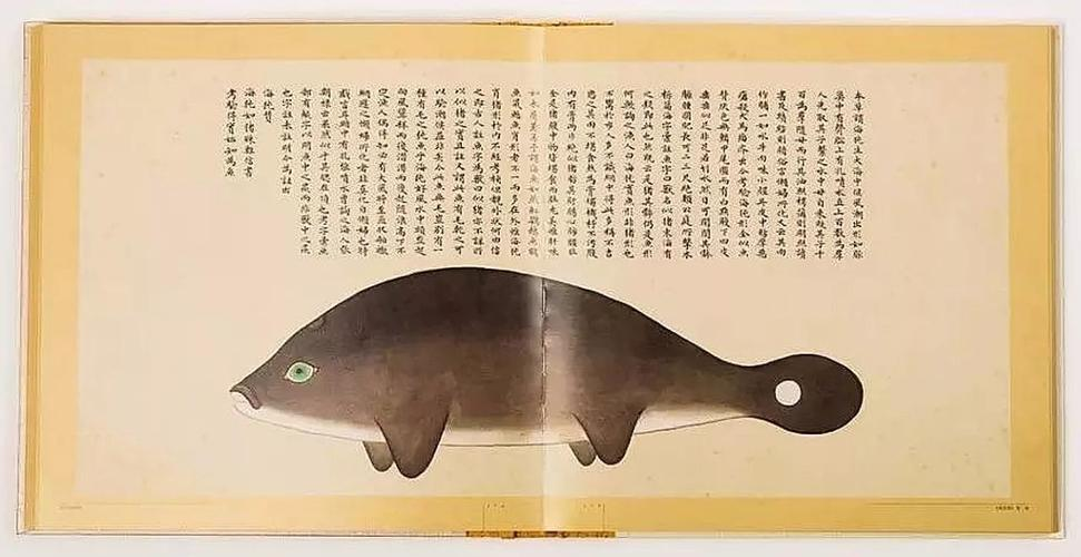 文化中國(guó)行 長(zhǎng)江之歌丨微笑的江豚，從四千年前“游”來(lái)
