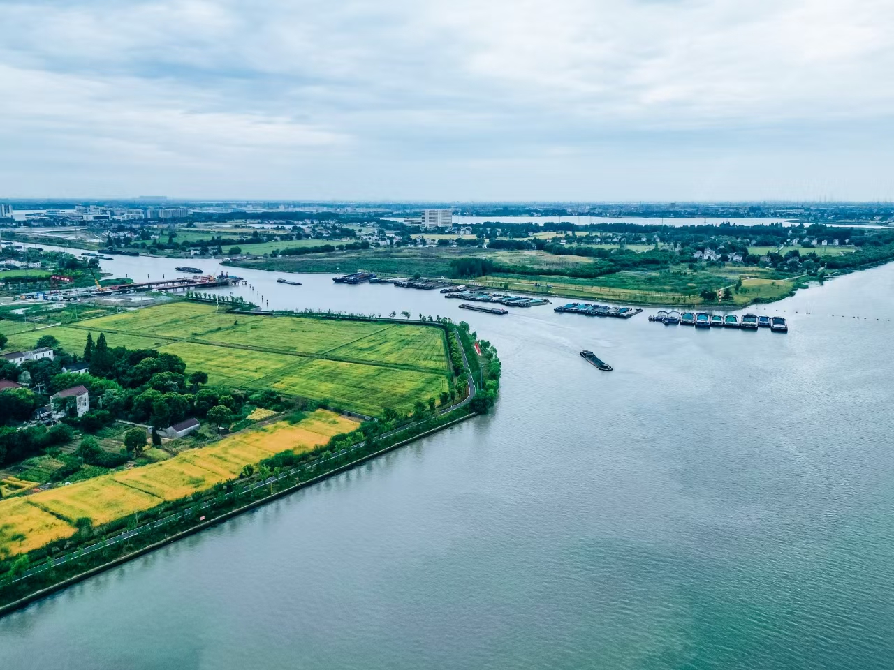 太浦河沿岸好風(fēng)光。吳橫軒攝