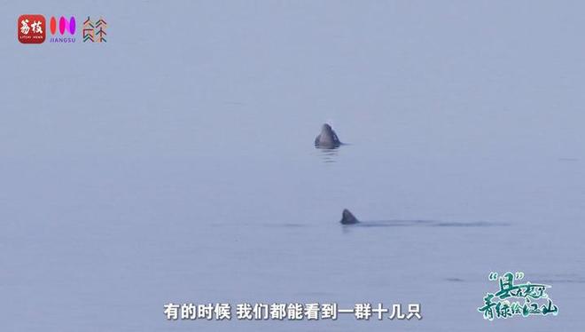 “縣”在起筆 青綠繪江山 | 江灣沐曉：褪去“銹色”走“金線”，繡出生態(tài)與產(chǎn)業(yè)“雙面錦”