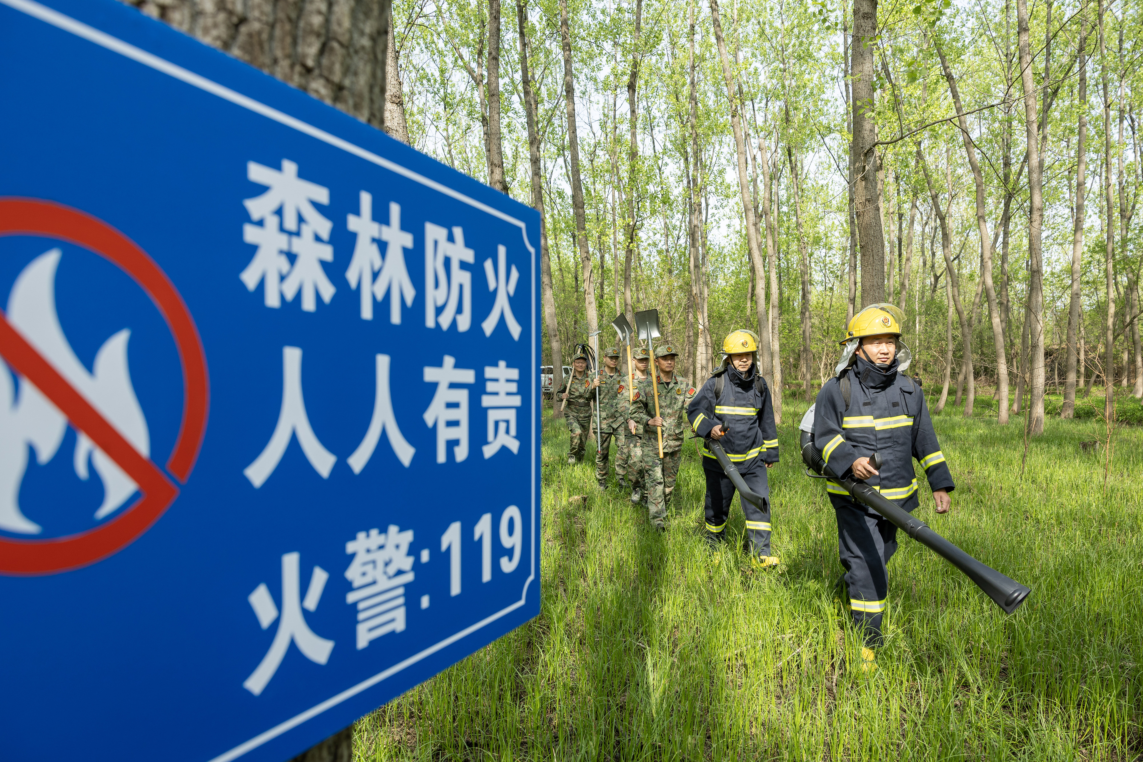 2024年4月9日，合肥市大房郢水庫(kù)水源保護(hù)地廬陽(yáng)經(jīng)濟(jì)開(kāi)發(fā)區(qū)段，基干民兵正在林間巡查火災(zāi)隱患。