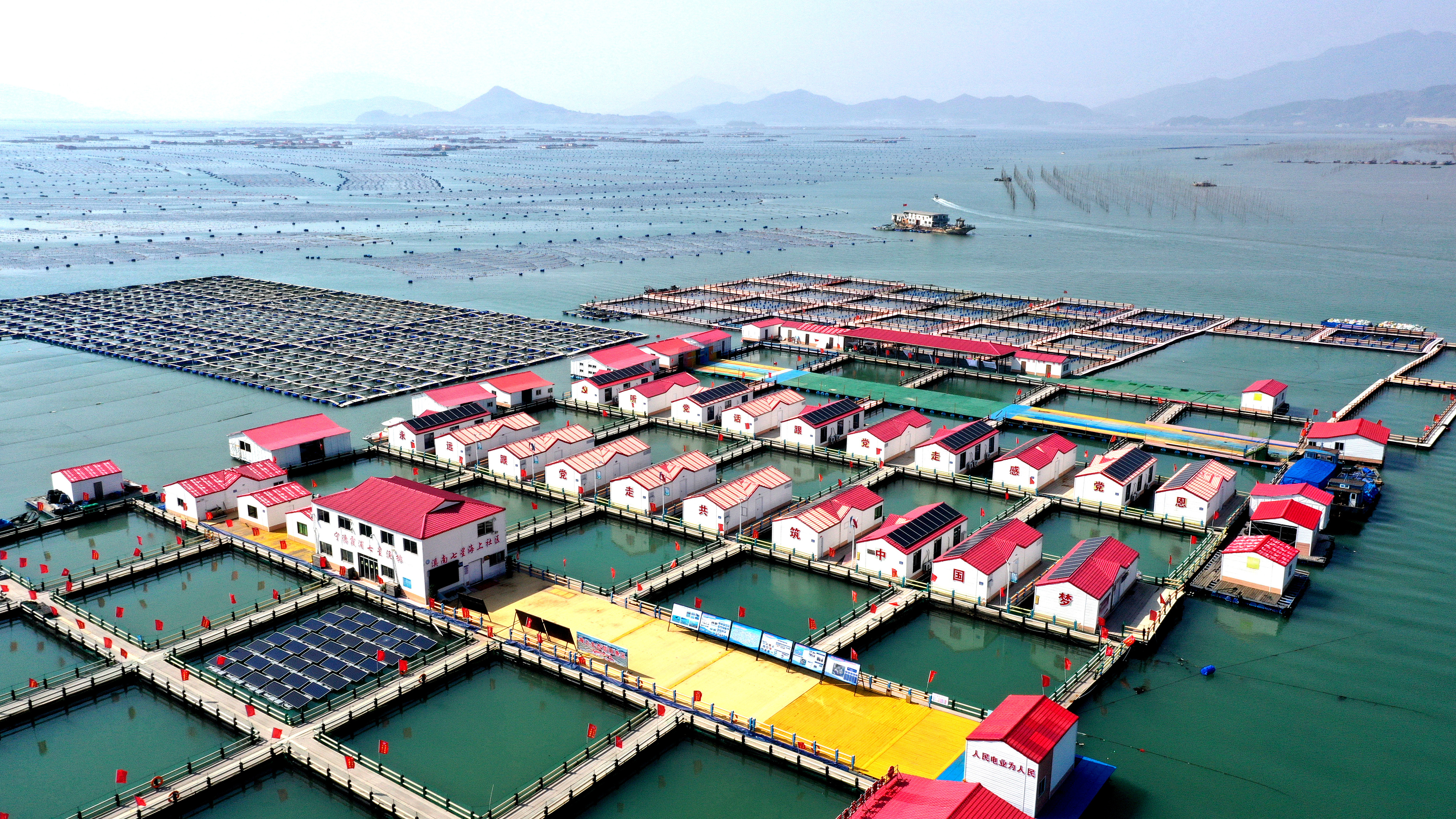 2024年3月20日，福建省寧德市，霞浦縣溪南鎮(zhèn)七星村漁排養(yǎng)殖示范區(qū)，漁民駕駛養(yǎng)殖船進(jìn)行海參養(yǎng)殖作業(yè)。