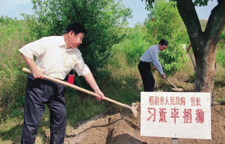 2001年10月，習近平在龍巖市長汀縣調研水土流失治理工作，在河田世紀生態(tài)園為樹培土。圖源：《習近平在福建（下）》