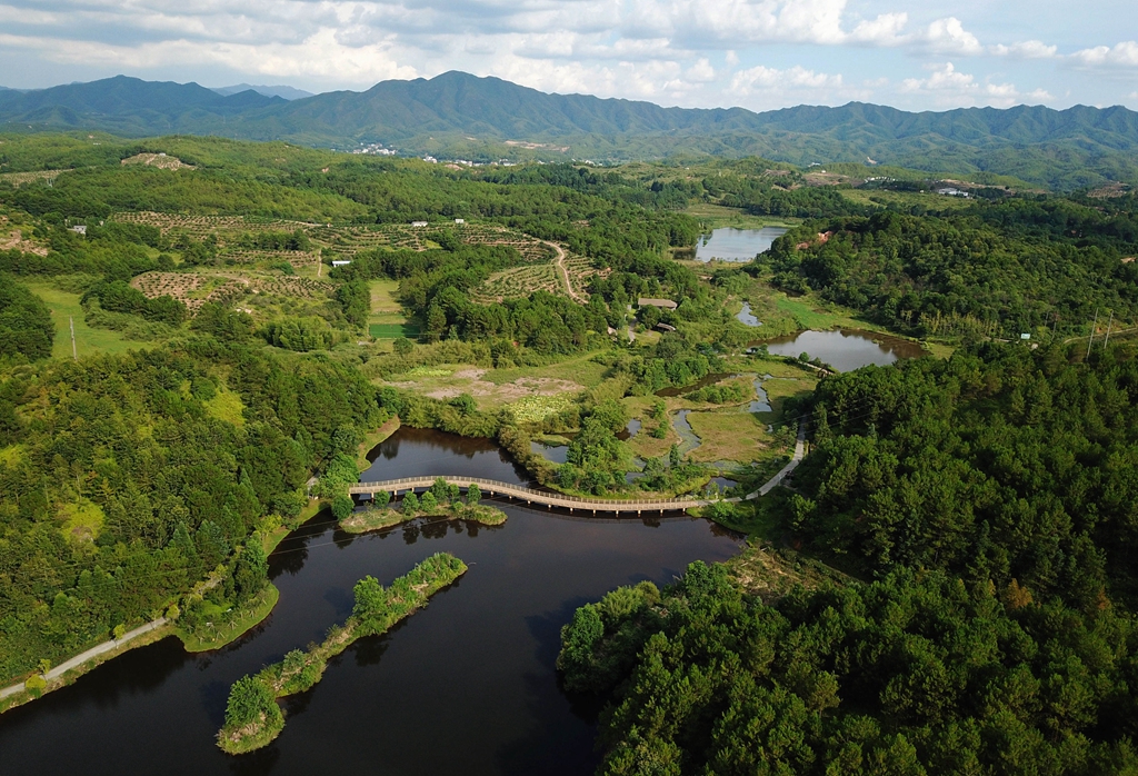 福建省龍巖市長汀縣的長汀汀江國家濕地公園景色（2020年7月28日攝，無人機照片）。新華社記者 魏培全 攝