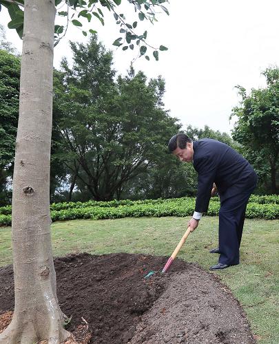 2012年12月7日至11日，習近平在廣東省考察工作。這是8日上午，習近平在深圳蓮花山公園種下一棵高山榕樹。新華社記者 蘭紅光 攝