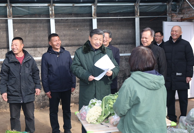 2024年2月1日，習(xí)近平總書記在天津市西青區(qū)辛口鎮(zhèn)第六埠村，走進(jìn)大棚同菜農(nóng)親切交流。