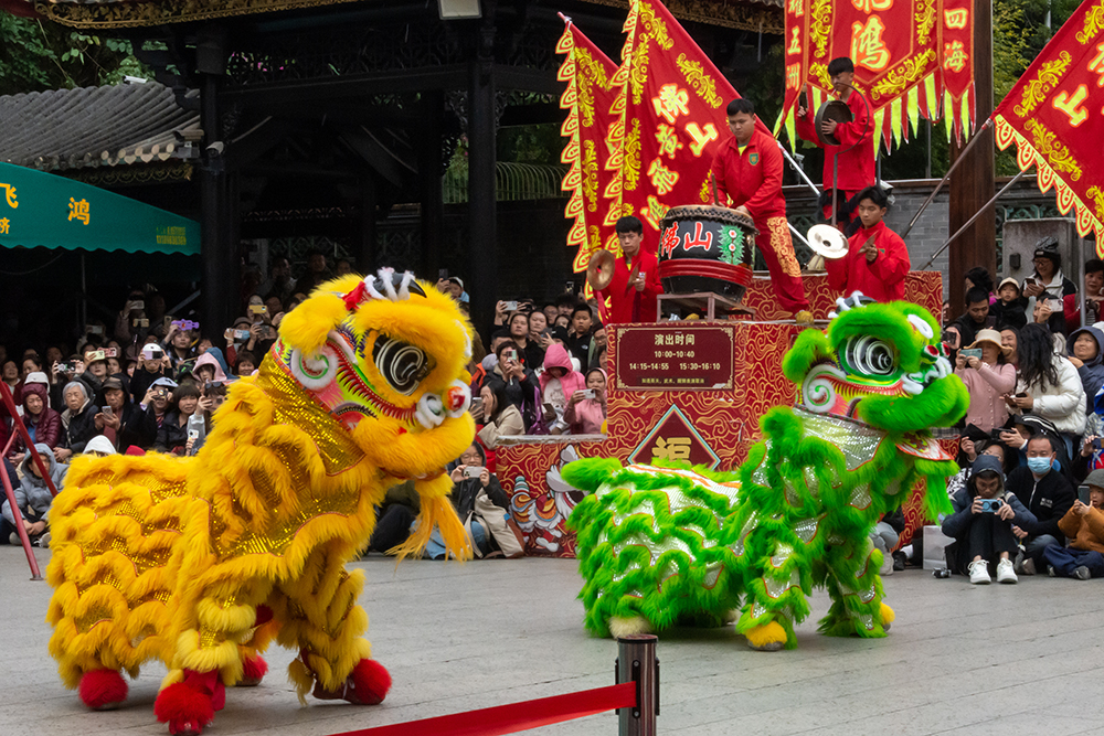 圖為廣東省佛山市祖廟的醒獅表演。