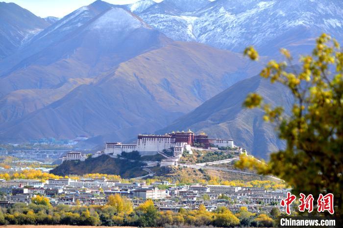 10月24日，雪山、布達(dá)拉宮和秋色組成“風(fēng)景畫(huà)”。　江飛波 攝