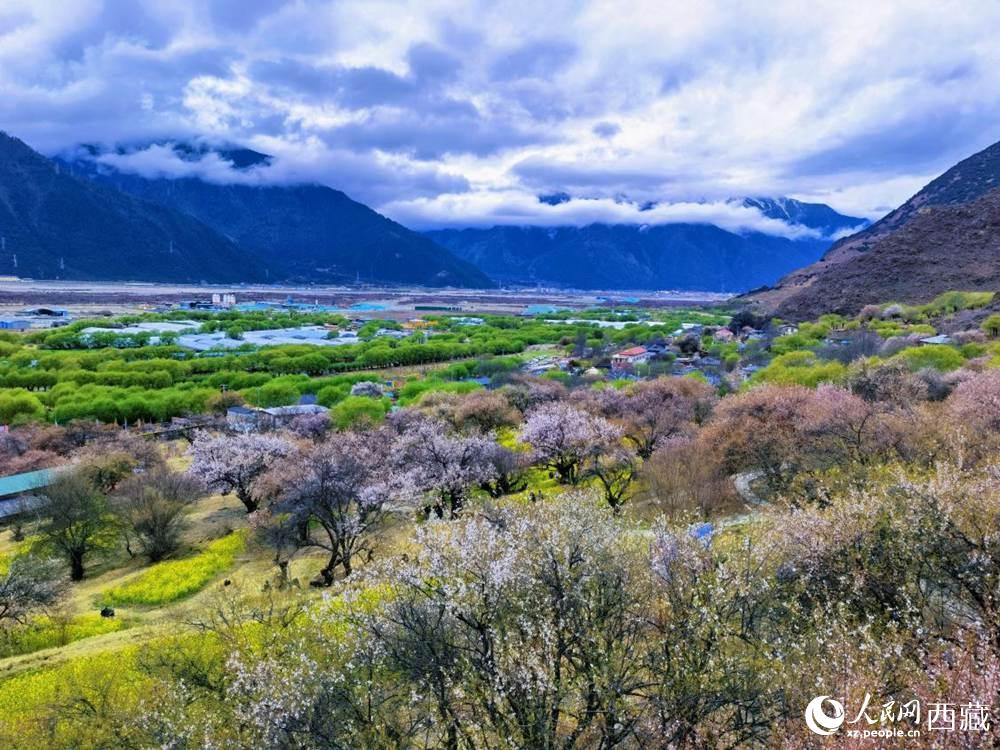 桃花從中的“童話小鎮(zhèn)”。人民網(wǎng) 李海霞攝