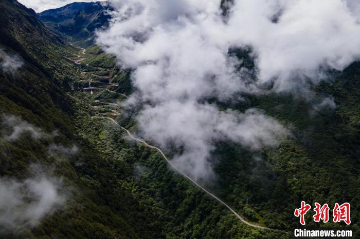 西藏山南勒布溝景區(qū)的盤山公路被云霧環(huán)繞?！〗w波 攝