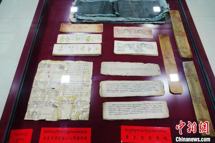 圖為藏醫(yī)古集文獻(xiàn)和藏醫(yī)臨床原始手稿?！●R銘言 攝
