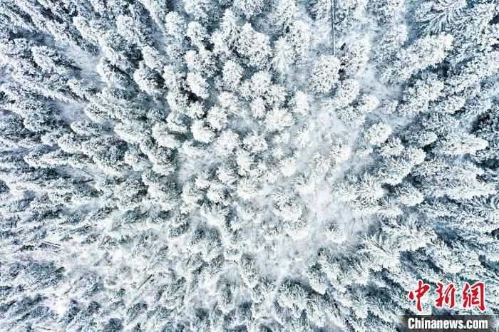 壤塘的雪后美景?！∪捞量h融媒體中心供圖