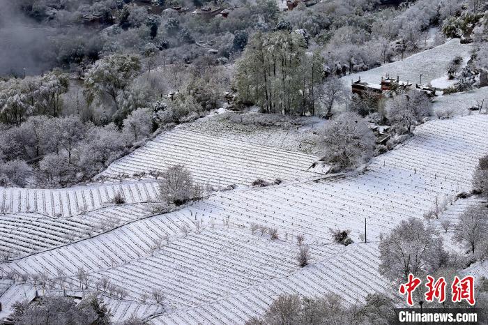 雪后的高山田間如畫?！±钣腊?攝
