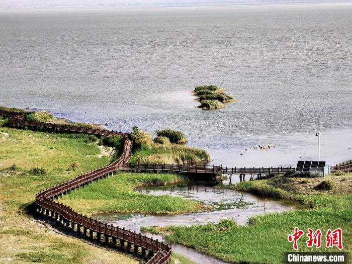 圖為都蘭湖國(guó)家濕地公園觀光棧道?！∑钤鲚?攝