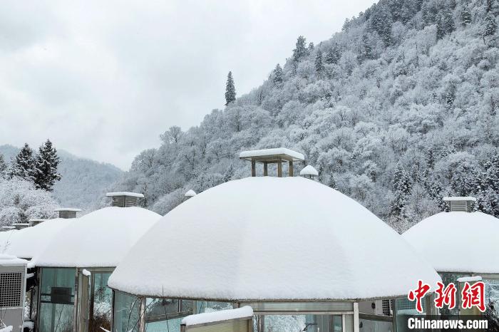 大熊貓國家公園王朗片區(qū)春雪如畫，宛若仙境?！×_春平 攝