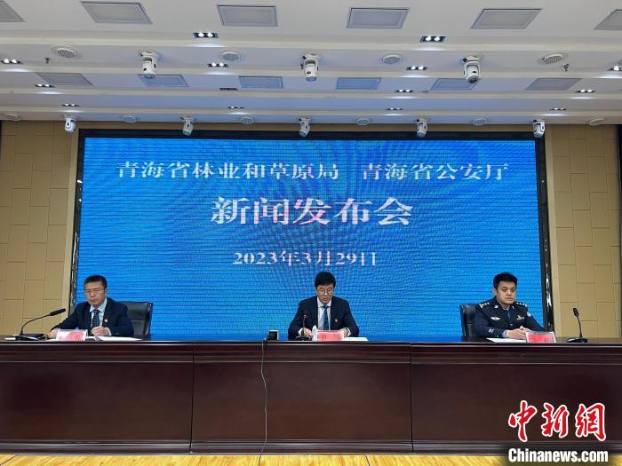 青海去年占用林地、草地準(zhǔn)予許可件同比實現(xiàn)“雙減”
