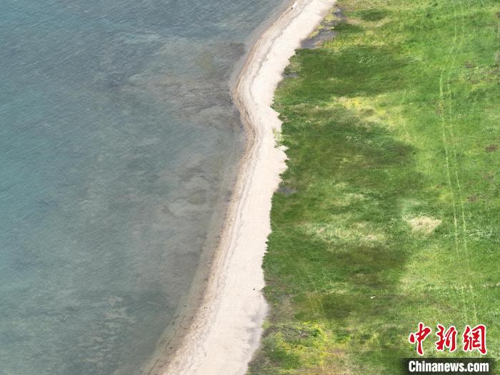 圖為航拍仲夏時(shí)節(jié)，青海湖畔綠茵如毯?！∑钤鲚?攝