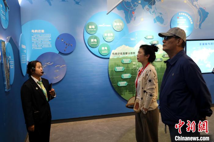 圖為臺商在祁連山國家公園生態(tài)科普館內(nèi)聆聽講解?！⊙Φ?攝