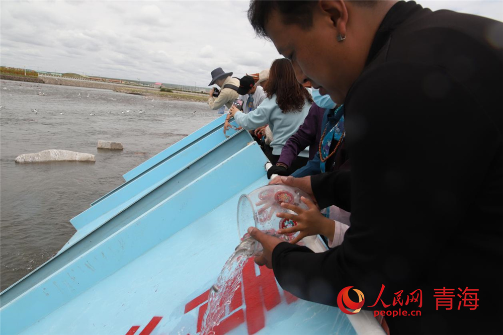 群眾放流青海湖裸鯉。人民網(wǎng) 陳明菊攝