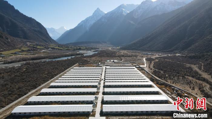 圖為西藏林芝市波密縣的標準化、產業(yè)化藏豬養(yǎng)殖基地?！〗w波 攝