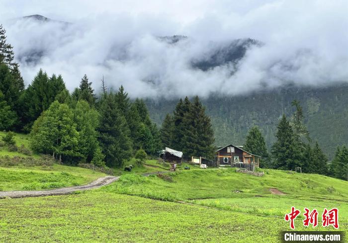 6月10日，魯朗小鎮(zhèn)高山牧場(chǎng)景區(qū)風(fēng)光。　冉文娟 攝