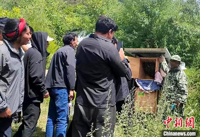 拉久西村村民學(xué)習(xí)養(yǎng)蜂工作流程和防范事項?！〔际忻⒖悼h委宣傳部供圖