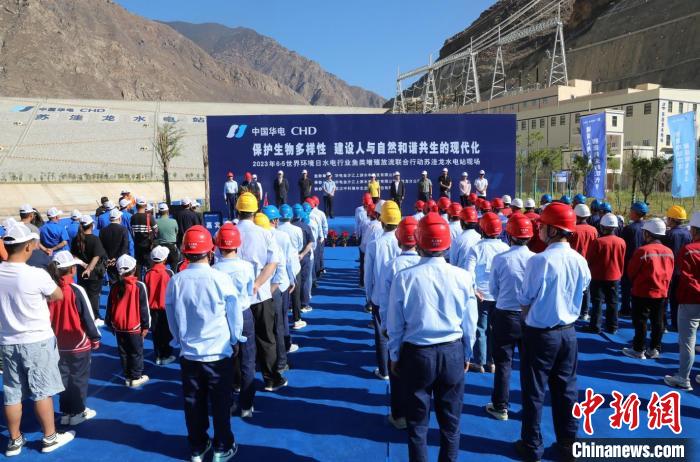 圖為蘇洼龍水電站魚類放流現(xiàn)場?！√K洼龍水電站供圖