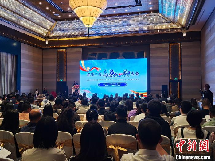 圖為首屆中國(guó)高原心胸大會(huì)現(xiàn)場(chǎng)?！☆D旦旺姆 攝