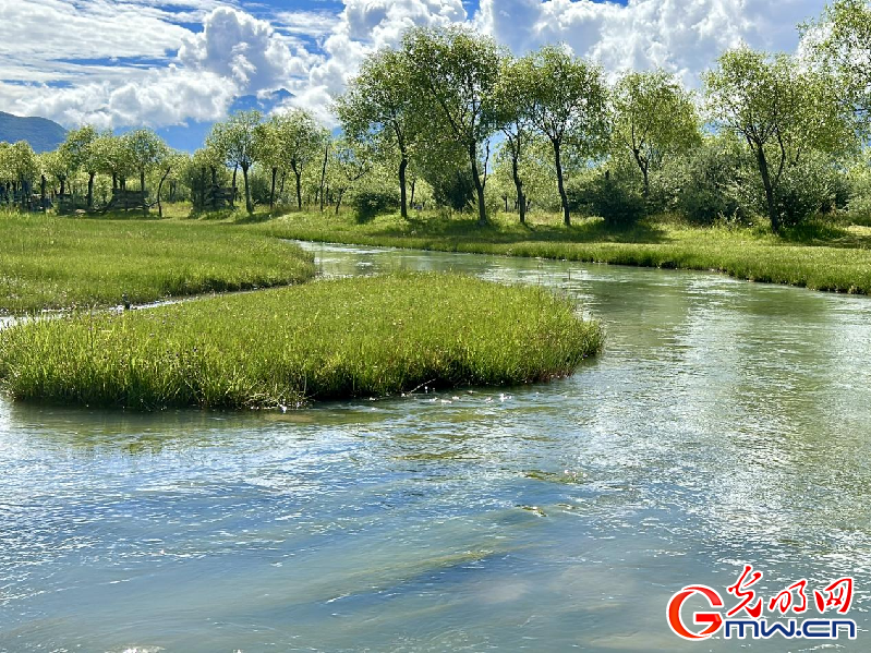 我們的家園丨【組圖】 綠水青山入畫，“金山銀山”筑起