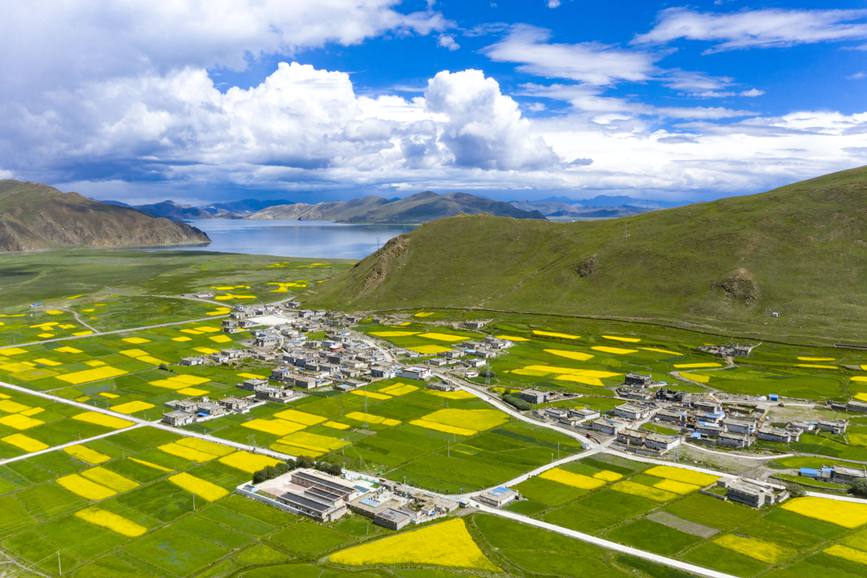 航拍道布龍村，依山傍水，阡陌縱橫。