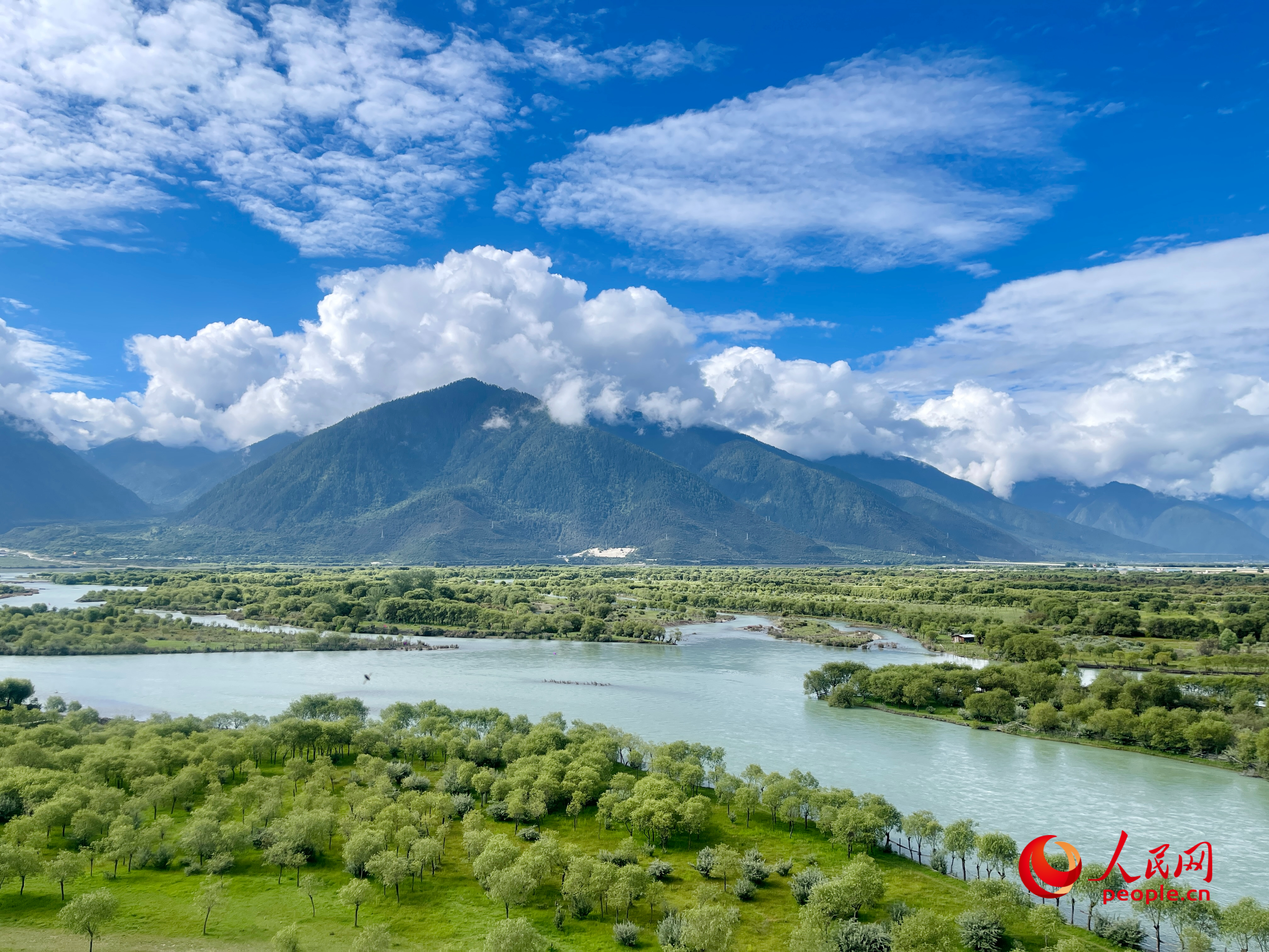 夏日的雅尼國(guó)家濕地公園生機(jī)盎然，如詩(shī)如畫。人民網(wǎng) 周靜圓攝