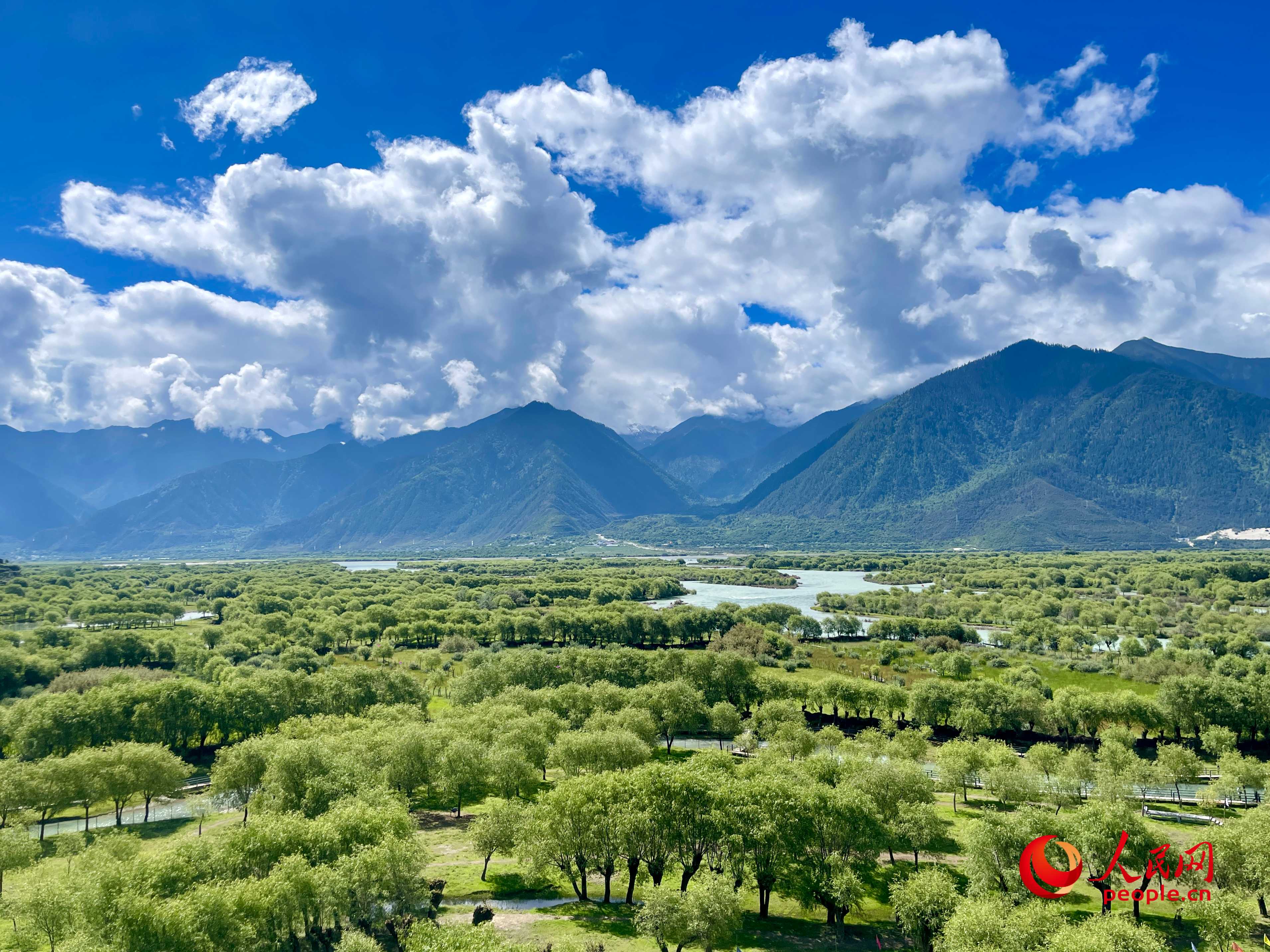 夏日的雅尼國(guó)家濕地公園生機(jī)盎然，如詩(shī)如畫。人民網(wǎng) 周靜圓攝