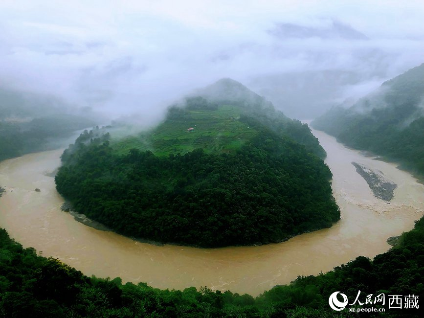 雅魯藏布江大峽谷蛇形拐彎處，山坡上種滿茶樹。