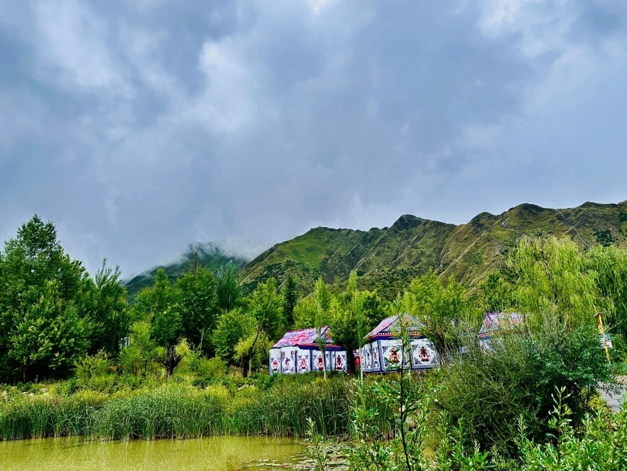 郁郁蔥蔥的南山公園。人民網(wǎng)記者 益西康珠攝